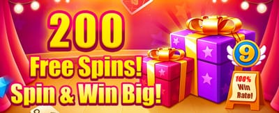 High Roller Cashback